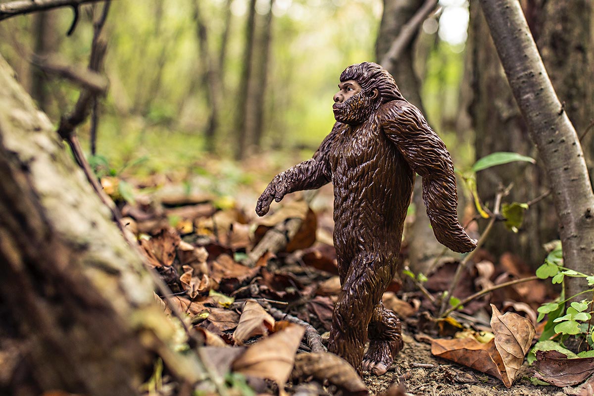 Picture of a apeman walking in the woods